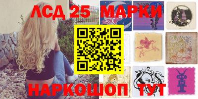 Альфа ПВП Камышлов