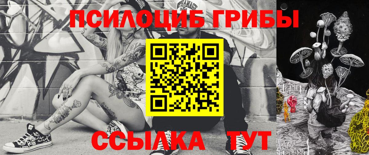 Галлюциногенные грибы GOLDEN TEACHER Коряжма